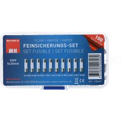 Max Hauri 128449 sada trubičkových pojistek (Ø x d) 5 mm x 20 mm F rychlá Množství 100 ks