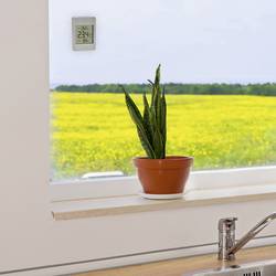 TFA Dostmann WINDOO okenní teploměr šedá 30.1067.15