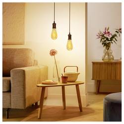 Philips 8721103049056 LED E27 spirálový tvar 3.1 W = 25 W zlatá, jantar 1 ks