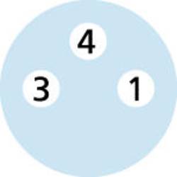 Escha AL-KP3-5/P00 upravený zástrčkový konektor pro senzory - aktory, 8052491, piny: 3, 5.00 m, 1 ks