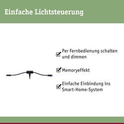 Paulmann 93999 93999 Osvětlovací systém Plug&Shine ZigBee kontrolér černá