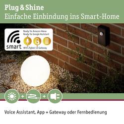 Paulmann 93999 93999 Osvětlovací systém Plug&Shine ZigBee kontrolér černá