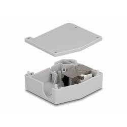 Delock 86959 adaptér na DIN lištu Keystone CAT 6A 1 ks