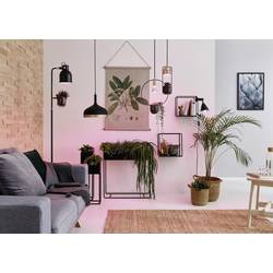 Paulmann LED lampa pro růst rostlin 230 V GU10 3.5 W jantar 1 ks