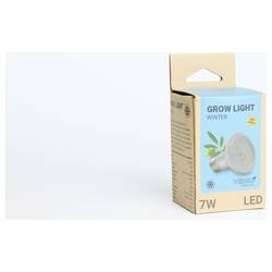 Venso LED lampa na rostliny Grow Lights Winter 100 mm E27 7 W denní bílá 1 ks
