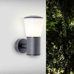 Brilliant Cliffi 96475/63 venkovní nástěnné osvětlení E27 antracitová