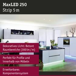 Paulmann MaxLED Stripe RGB 79867 LED pásek konektor 24 V 5 m teplá bílá 1 ks