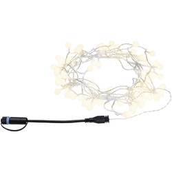 Paulmann 4000870945575 94557 Osvětlovací systém Plug&Shine LED světelný řetěz LED 2 W teplá bílá černá