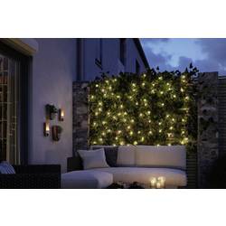 Paulmann 4000870945575 94557 Osvětlovací systém Plug&Shine LED světelný řetěz LED 2 W teplá bílá černá