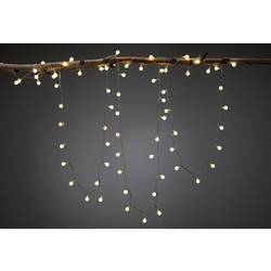 Paulmann 4000870945575 94557 Osvětlovací systém Plug&Shine LED světelný řetěz LED 2 W teplá bílá černá