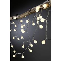 Paulmann 4000870945575 94557 Osvětlovací systém Plug&Shine LED světelný řetěz LED 2 W teplá bílá černá