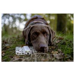 Hoverair HOVERAir X1 Sportovní outdoorová kamera Wi-Fi, Bluetooth, mini kamera