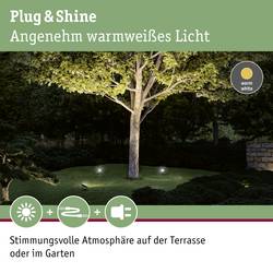 Paulmann 94575 Osvětlovací systém Plug&Shine 16 W teplá bílá černá