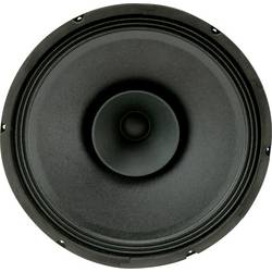 Sintron 201011 30 cm širokopásmový reproduktor 120 W 8 Ω černá