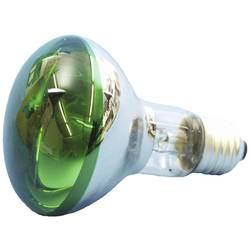Eurolite 9210410U žárovka E27 žárovka 60 W zelená (Ø x v) 80 mm x 110 mm 1 ks