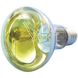 Eurolite 9210400U žárovka E27 žárovka 60 W žlutá 1 ks