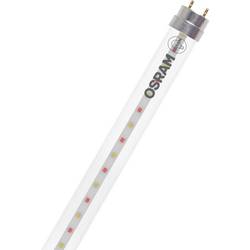 OSRAM LED lampa na rostliny LED TUBE T8 18 EM FLUORA 600 mm 6.6W 604.00 mm G13 6.6 W teplá bílá zářivkový tvar 1 ks