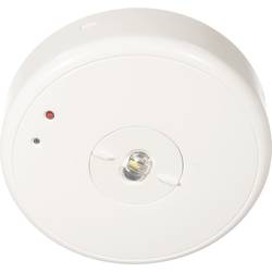 B-SAFETY BL550038 bezpečnostní osvětlení montáž na strop