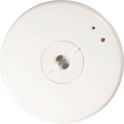 B-SAFETY BL550038 bezpečnostní osvětlení montáž na strop