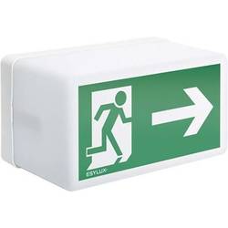ESYLUX EN10026836 nouzové osvětlení únikových cest montáž na strop vpravo