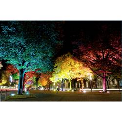 Müller-Licht tint venkovní LED reflektor tint Flores XL, white+color 8.1 W RGBW