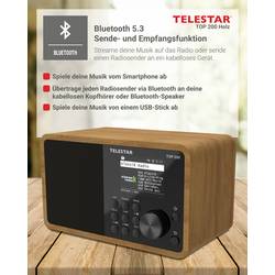 Telestar TOP 200 Holz 5701200 internetové přenosné rádio, internetové, DAB+, FM, Bluetooth, USB, Wi-Fi, AUX, dřevo