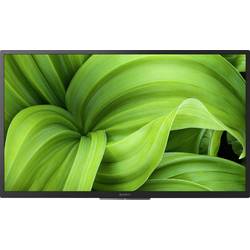 Sony KD32W800/1 LED TV, 80 cm 32 palec, F (A - G), DVB-T2, DVB-C, DVB-S, HD ready, Smart TV, WLAN, PVR ready, CI+, černá