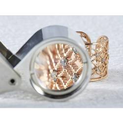 TOOLCRAFT TO-10182537 kapesní lupa zvětšení: 10 x, Velikost objektivu: (Ø) 21 mm