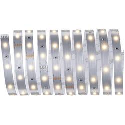 Paulmann MaxLED Stripe Basic 79852 LED pásek základní sada konektor 24 V 3 m teplá bílá 1 ks