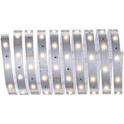 Paulmann MaxLED Stripe Basic 79852 LED pásek základní sada konektor 24 V 3 m teplá bílá 1 ks