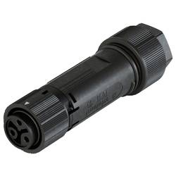 Wieland Electric 46.031.4453.1 konektor