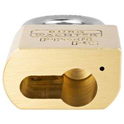 Burg Wächter 116 PC 50 Niro visací zámek 51.3 mm mosaz visací zámek s profilovou vložkou