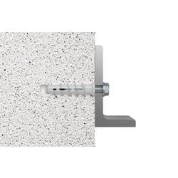 Fischer 532660 FTP K 6 K NV hmoždinka na pórobeton 50 mm 1 sada