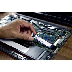Kingston NV3 2 TB interní SSD PCIe 4.0 x4 SNV3S/2000G