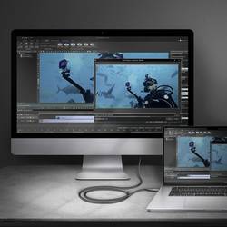 AXAGON HDMI / USB-C® kabel Zásuvka HDMI-A 1.8 m černá RVC-HI2MC Kabel USB-C