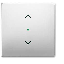 Busch-Jaeger 1násobné kryt free@home nerezová ocel 2CKA006220A0415 1 ks