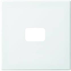Busch-Jaeger kryt páka se symbolem prázdná Busch-balance SI alpská bílá 2520-914 1 ks