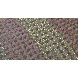 Busch 1205 H0 120 růží stavebnice