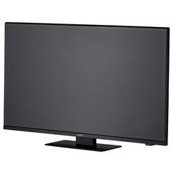 Reflexion LDDX22iBT_B LCD TV 55 cm 22 palec Energetická třída (EEK2021) E (A - G) DVB-T2, DVB-C, DVB-S2, Full HD, Smart TV, WLAN, DVD-Player, CI+ černá