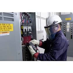 FLIR DM286 multimetr, integrovaná termokamera, CAT III 1000 V, CAT IV 600 V, displej (counts) 6000, DM286