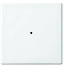 ABB 2CKA006730A0092 nástěnný spínač bílá, čistě bílá (RAL 9010) 6731-914