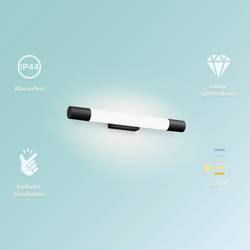 Philips Rover 8720169300170 LED koupelnové stropní světlo 5 W teplá bílá černá