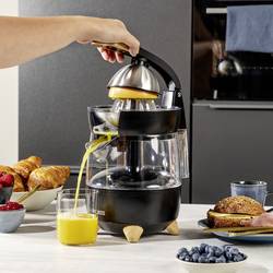 Princess Pur odšťavňovač, 300 W, bez BPA, černá (matná)