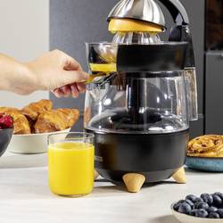 Princess Pur odšťavňovač, 300 W, bez BPA, černá (matná)
