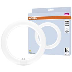 OSRAM HOMELIGHTING LED trubice Energetická třída (EEK2021): E (A - G) G10q kruhová zářivka 11 W = 22 W neutrální bílá (Ø x d) 312 mm x 212 mm 1 ks