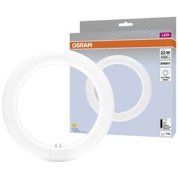 OSRAM HOMELIGHTING LED trubice Energetická třída (EEK2021): E (A - G) G10q kruhová zářivka 11 W = 22 W neutrální bílá (Ø x d) 312 mm x 212 mm 1 ks