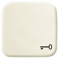 Busch-Jaeger kryt symbol klíč Duro 2000 SI perlově bílá, krémově bílá 2CKA001731A0298 1 ks