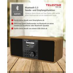 Telestar TOP 250 Holz 5701250 internetové přenosné rádio, DAB+, internetové, FM, Wi-Fi, USB, FM, internet, DAB+, Bluetooth, dřevo