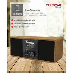 Telestar TOP 250 Holz 5701250 internetové přenosné rádio, DAB+, internetové, FM, Wi-Fi, USB, FM, internet, DAB+, Bluetooth, dřevo