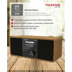 Telestar TOP 250 Holz 5701250 internetové přenosné rádio, DAB+, internetové, FM, Wi-Fi, USB, FM, internet, DAB+, Bluetooth, dřevo
